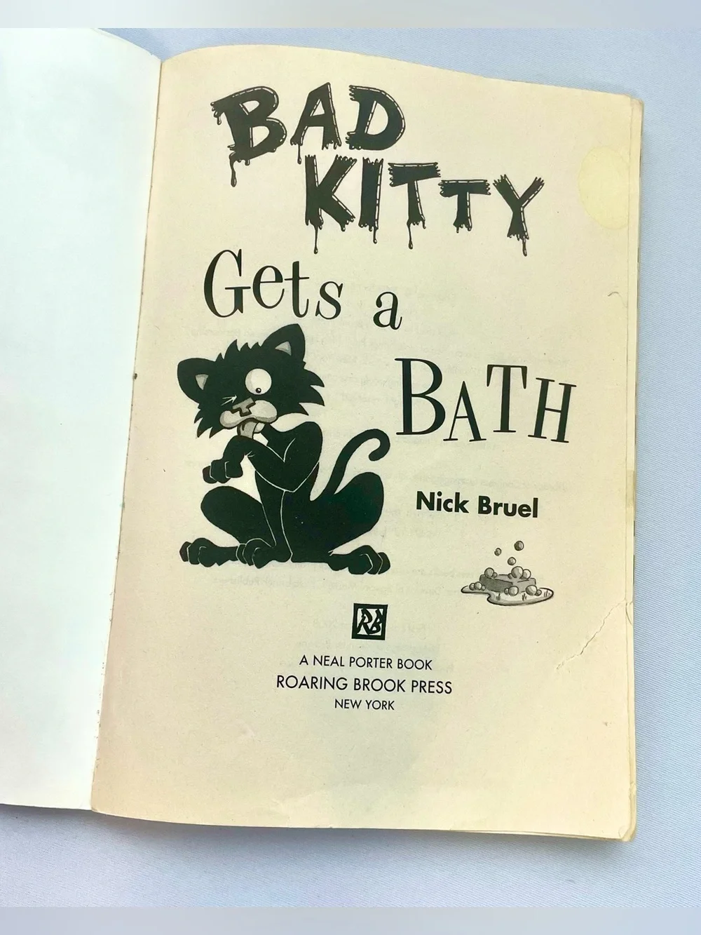 Bad Kitty Takes a Bath By Nick Bruel Paperback